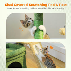 PEQULTI cactus wide base enhances stability during use