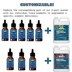 Perfect Corals Manganese reef-tank usage scene highlights enhanced enzyme function support.