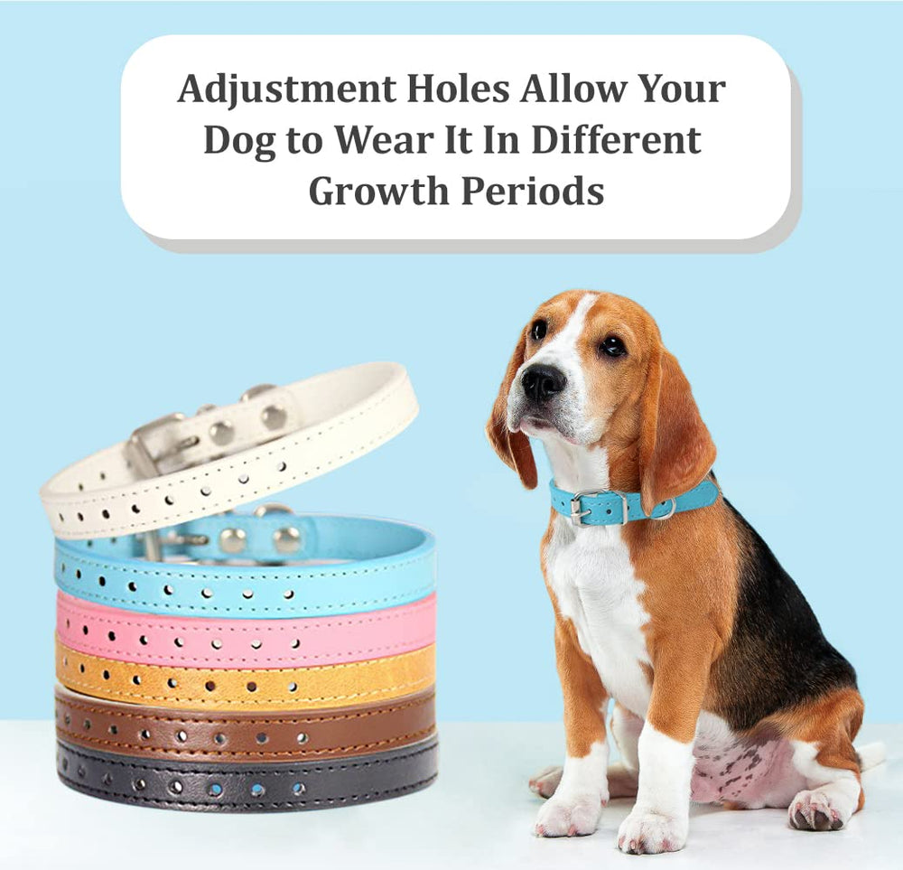 Periflowin cat and dog collar suitable for mixed pets and households.