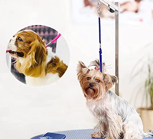 Soft, colorfast knitted nylon that holds up to large dogs.