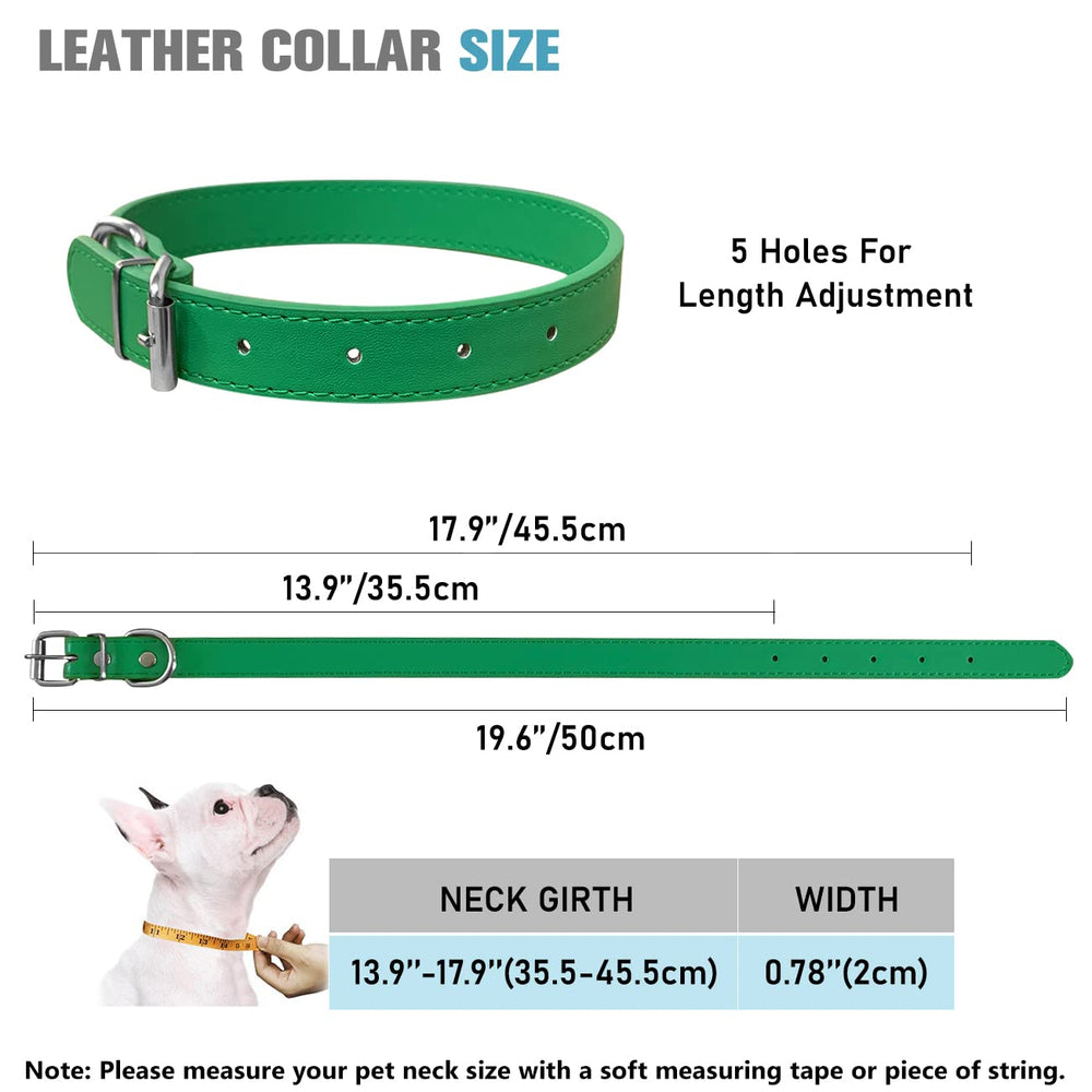 Bright color collar set with metal D-ring for tags and identification