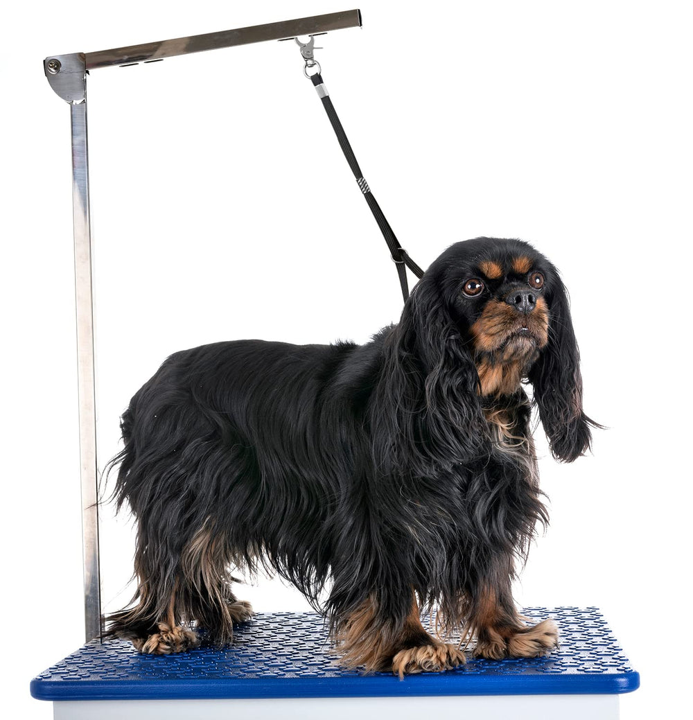 Soft yet strong noose holds restless dogs safely during grooming