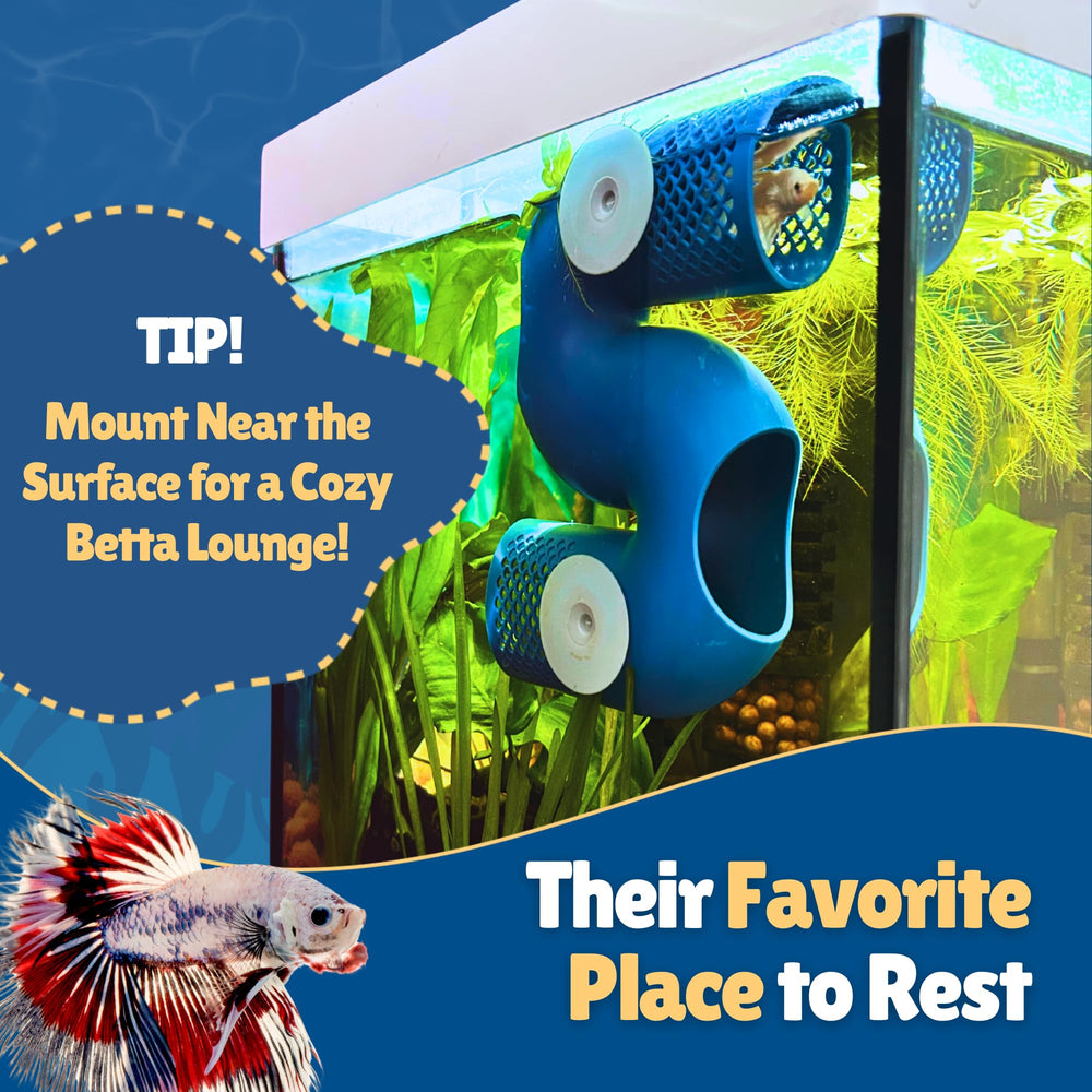 Perky Fins Betta Tunnel rests securely on substrate for natural tank integration.