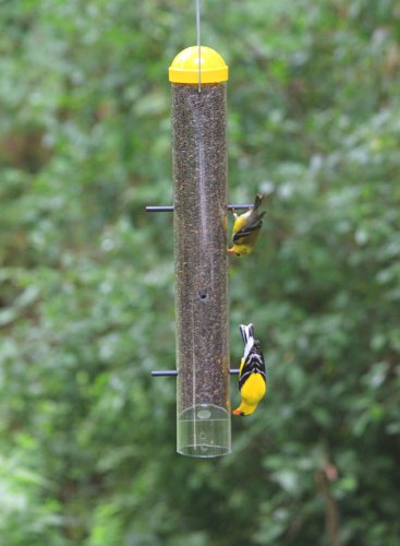 Perky-Pet 399 feeder side profile with six feeding ports for undisturbed feeding