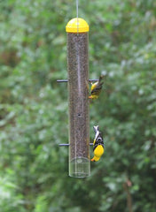 Perky-Pet 399 feeder side profile with six feeding ports for undisturbed feeding