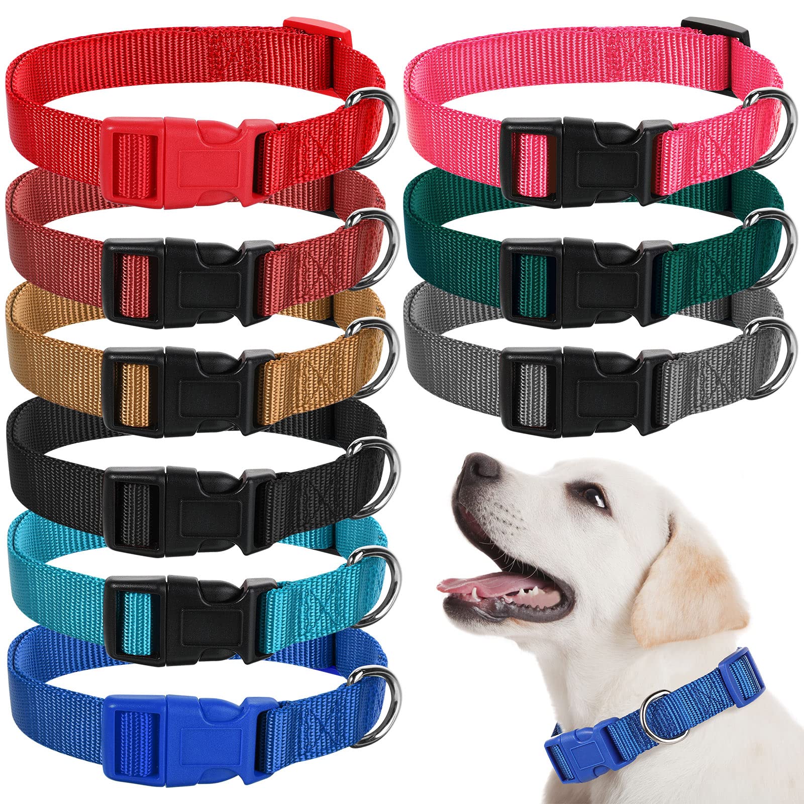 Perthlin 9-piece collar set in blue for daily walks with quick-release buckles
