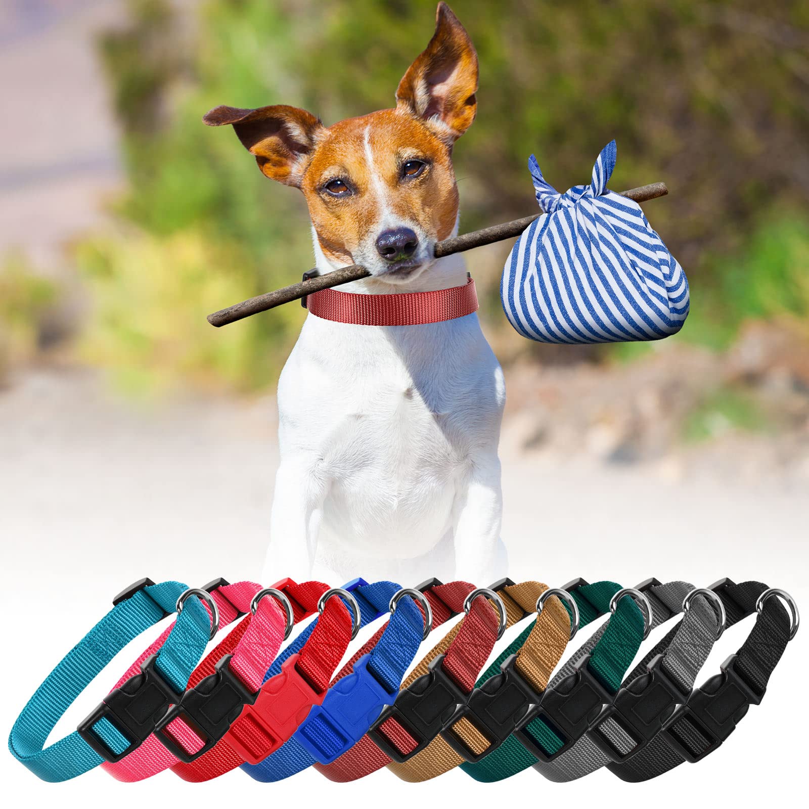 Perthlin 9-piece collar set in lake-blue, versatile for indoor and outdoor use