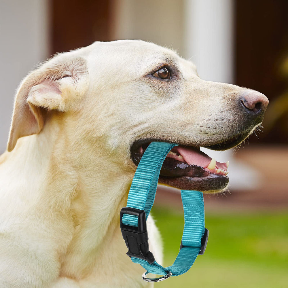 Perthlin 9pieces adjustable dog collar pink for stylish daily wear.
