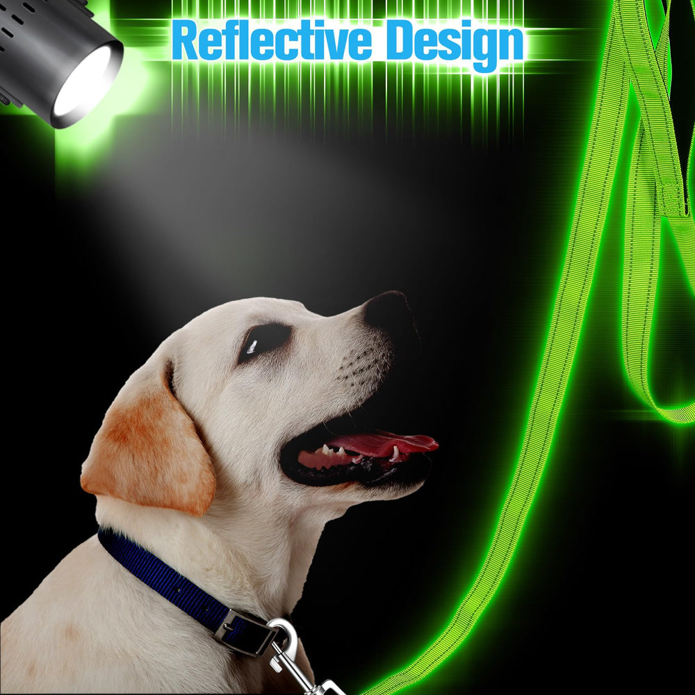 Perthlin double-sided reflective leash ideal for evening exercise.