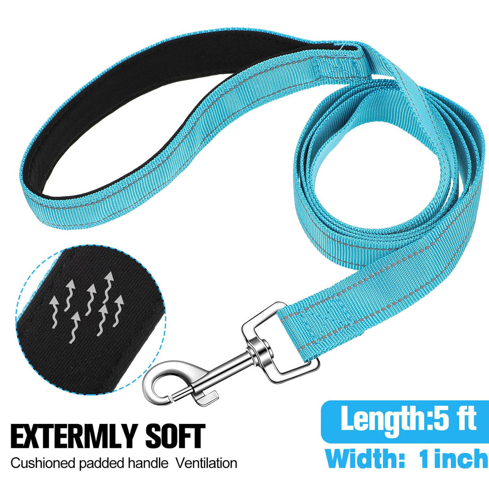 Perthlin five-foot dog leash showing reflective stitching for night visibility.