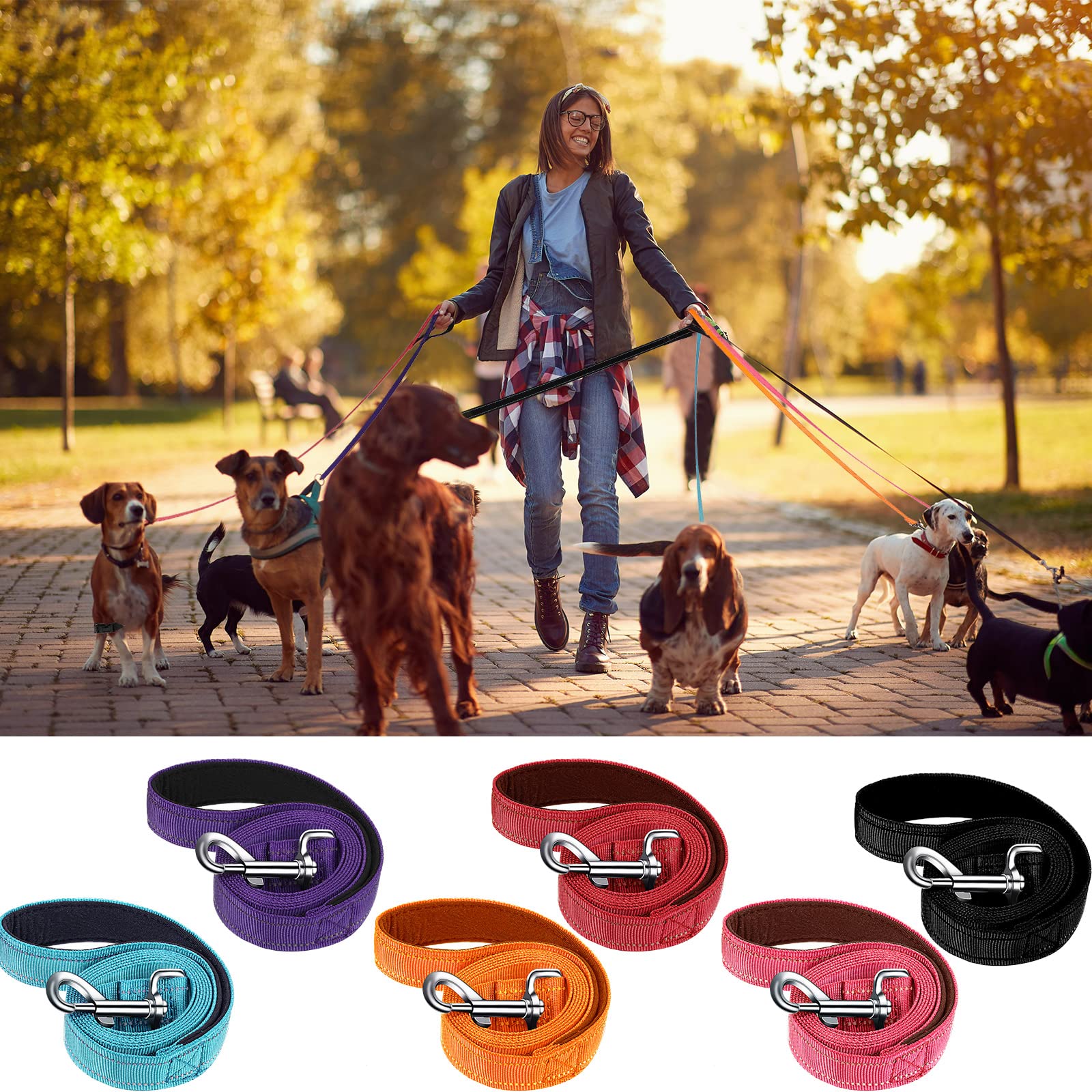 Perthlin reflective night-walk leash in twilight scene.