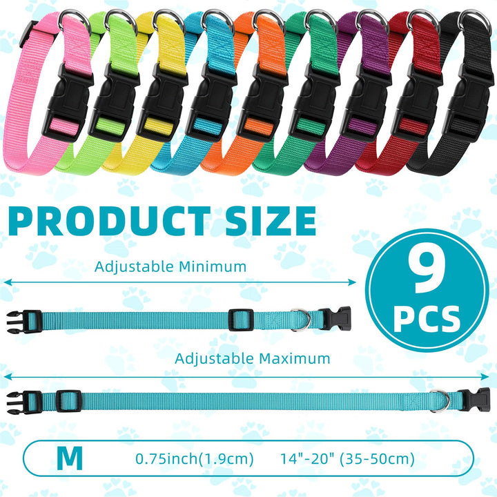 Perthlin soft nylon dog collar emphasizes comfort during long walks