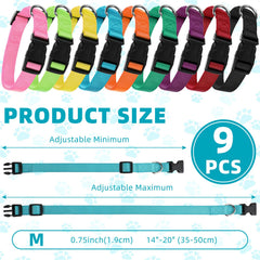 Perthlin soft nylon dog collar emphasizes comfort during long walks