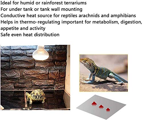 PeSandy heat pad placement emphasizing proper ventilation in terrarium