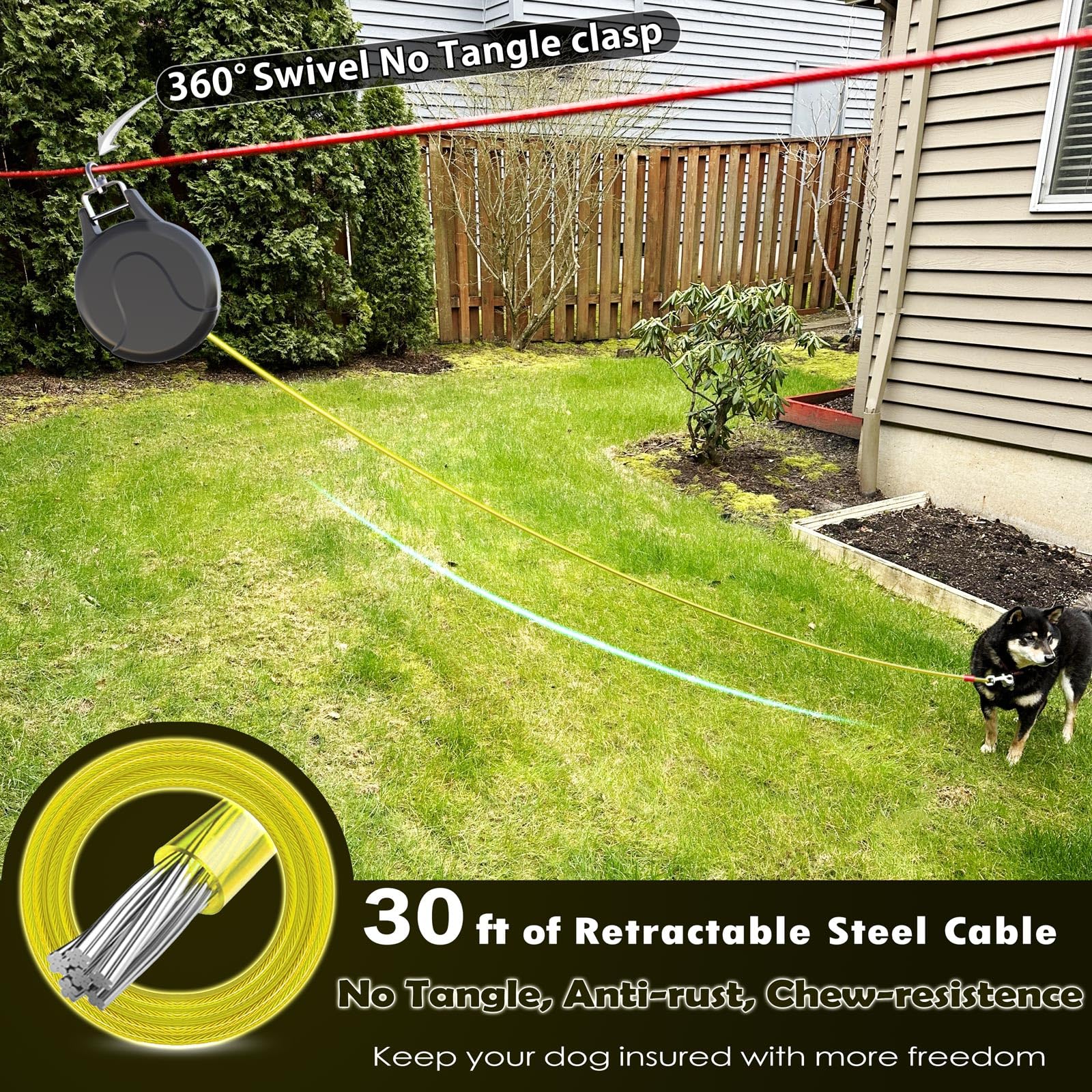 Pestairs 30ft leash extended in yard for roam