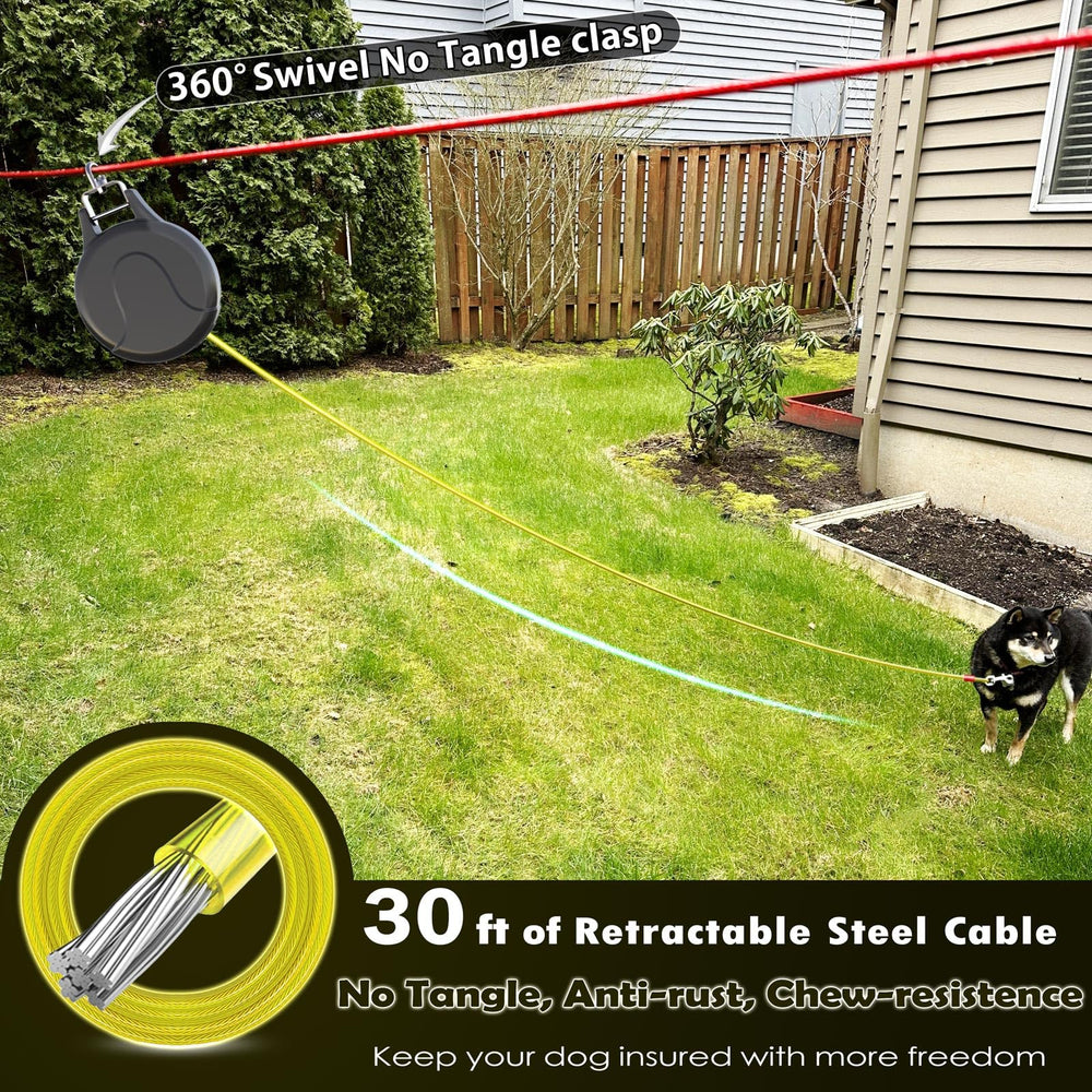 Pestairs 30ft leash extended in yard for roam