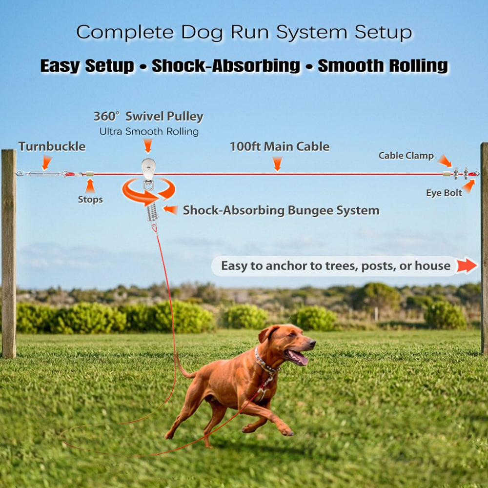 Pestairs 10 ft runner cable demonstrates smooth movement for dogs.