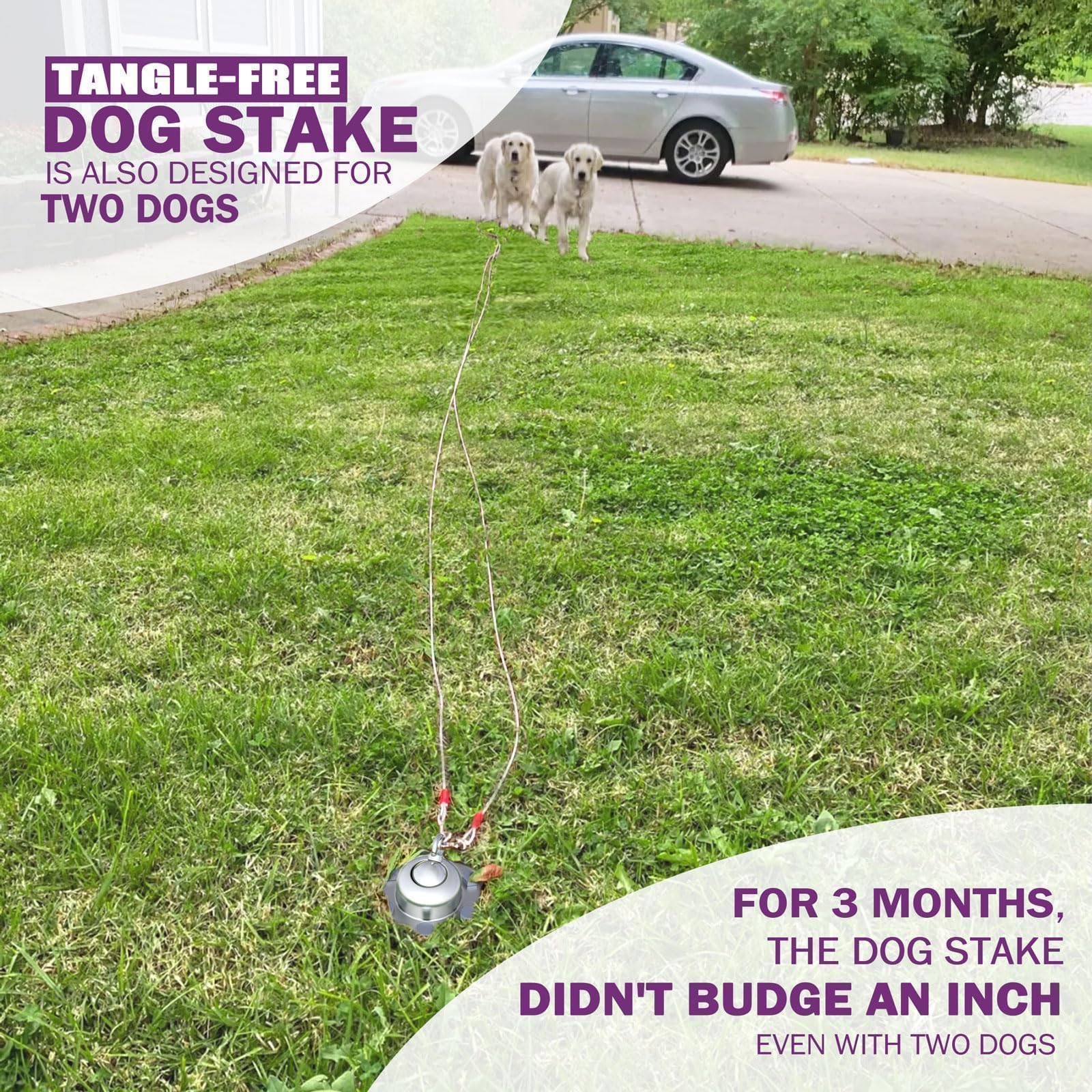 Pestairs weatherproof dog stake suitable for outdoor use in all weathers