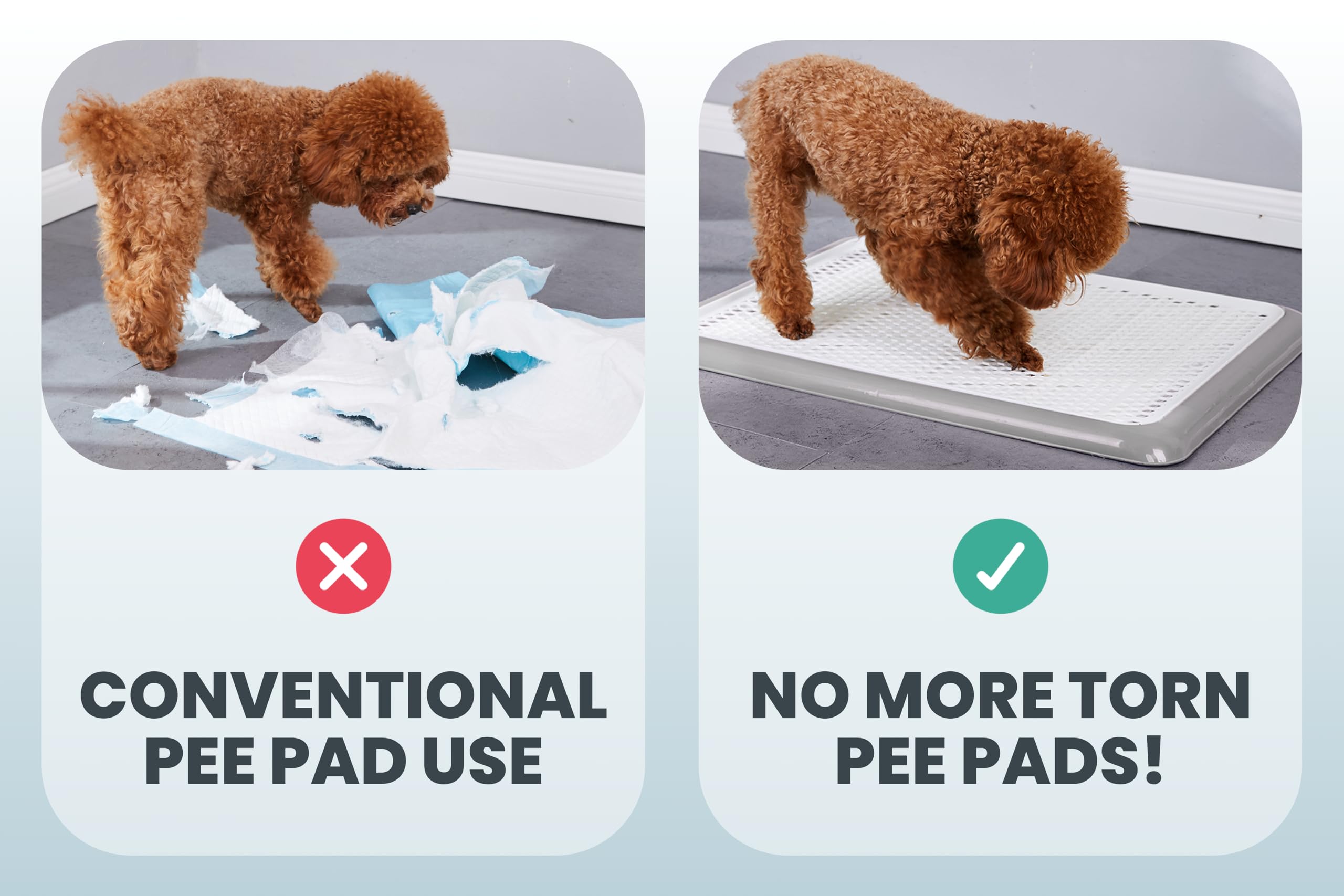 PET AWESOME dog potty tray color options gray, pink, blue, or black.