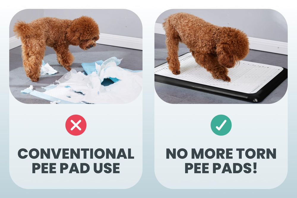 Pet Awesome anti-slip foam buttons keep the tray from sliding