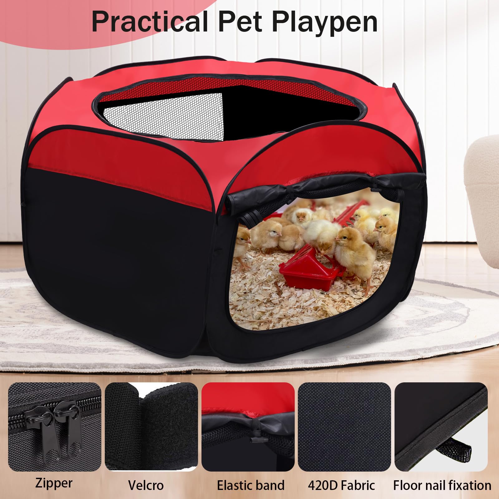 Pet Baby chick feeder ball in use keeps feed clean and encourages foraging