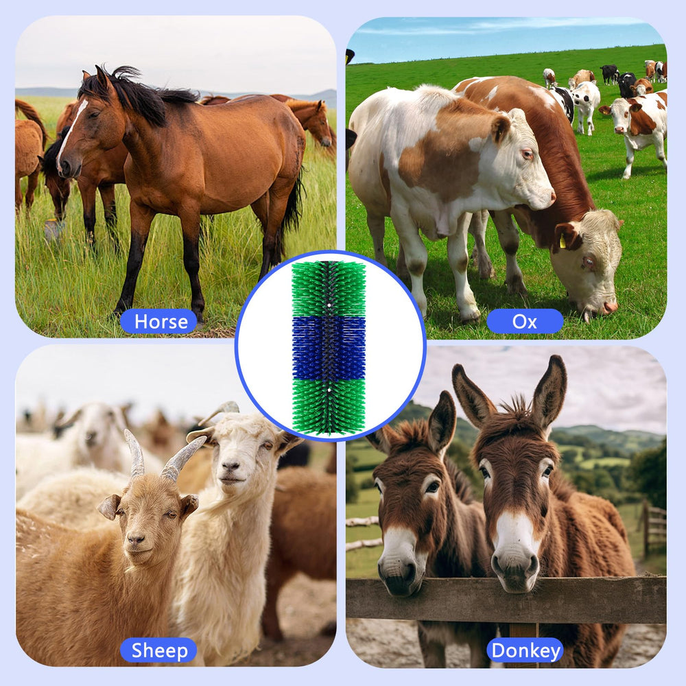 Pet Baby happy livestock after scratching during daily routines.