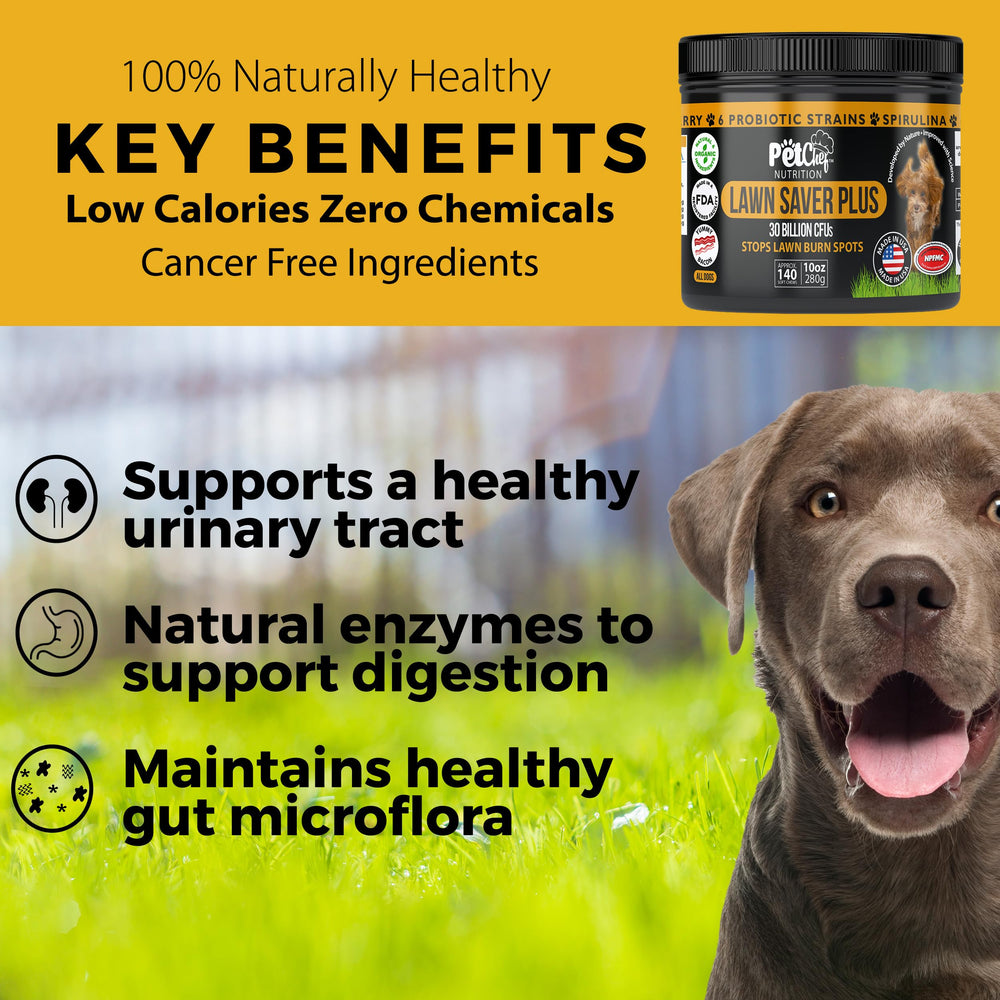 Pet Chef Nutrition DL-Methionine blend promoting urine balance in a chew