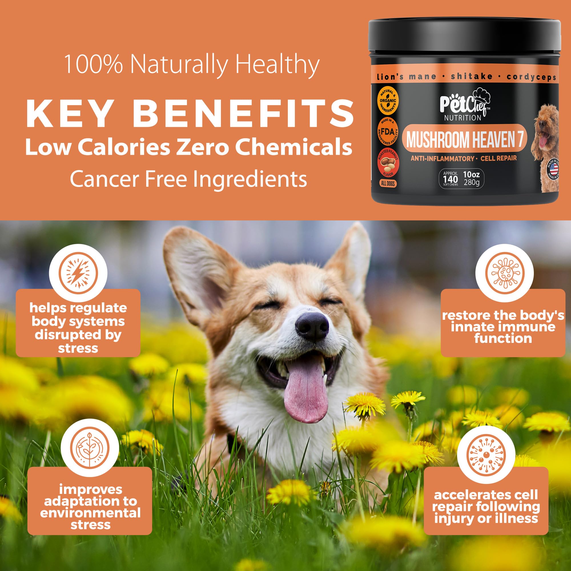 Digestive-focused ingredients from Pet Chef Nutrition support gut comfort in dogs