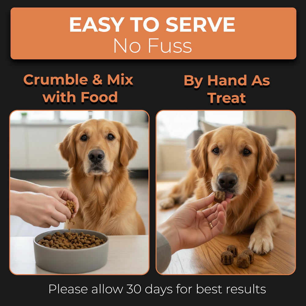 Dog happy after play enjoys Pet Chef Nutrition chew