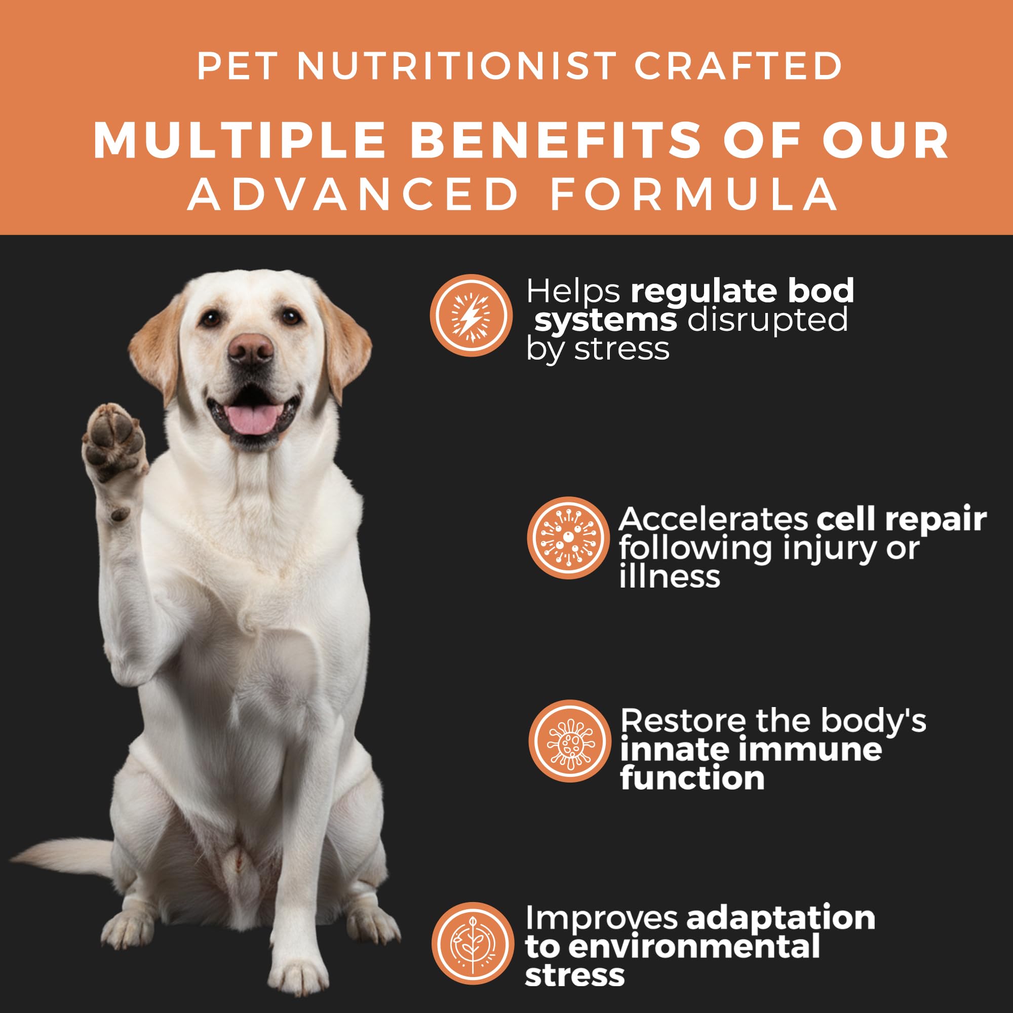 Pet Chef Nutrition immune-support chews emphasize broad immune benefits for dogs