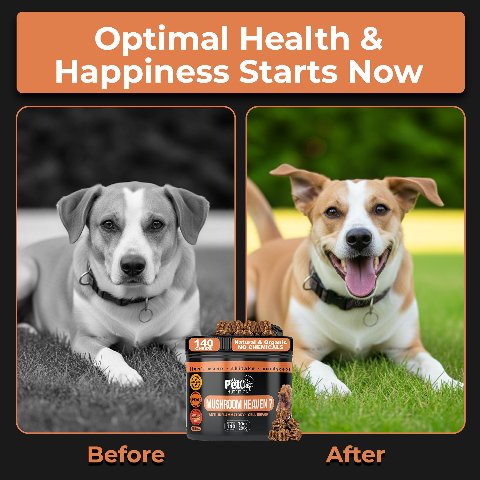 Dog walks outdoors with Pet Chef Nutrition chews bottle visible for daily immunity reminder
