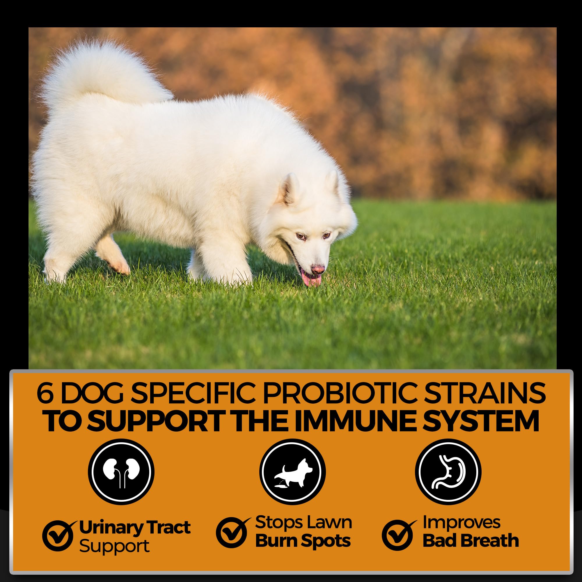 Pet Chef Nutrition USA-made dog chews in safe packaging