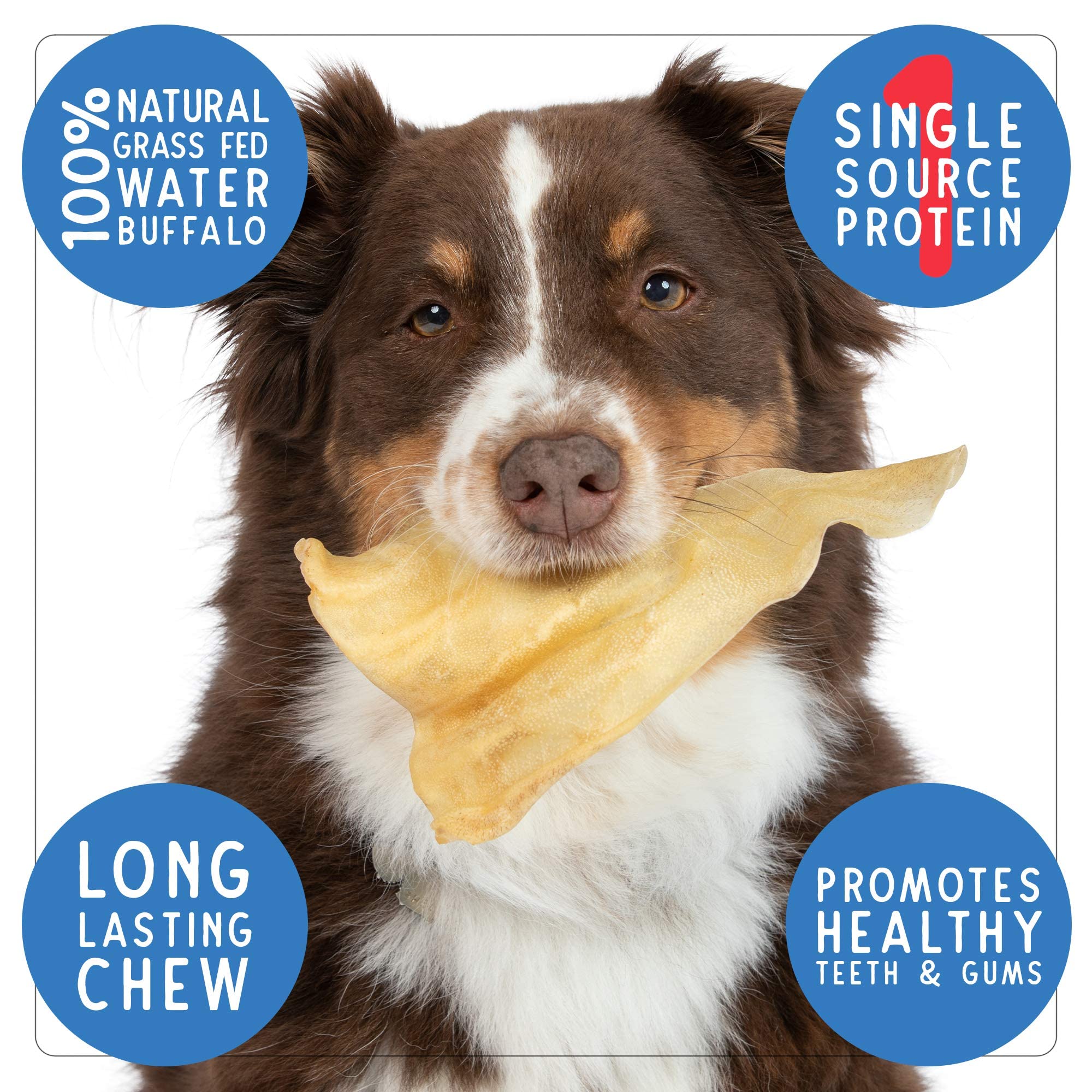 Pet Craft Supply Water Buffalo Ear close-up texture highlights durability for chewing.