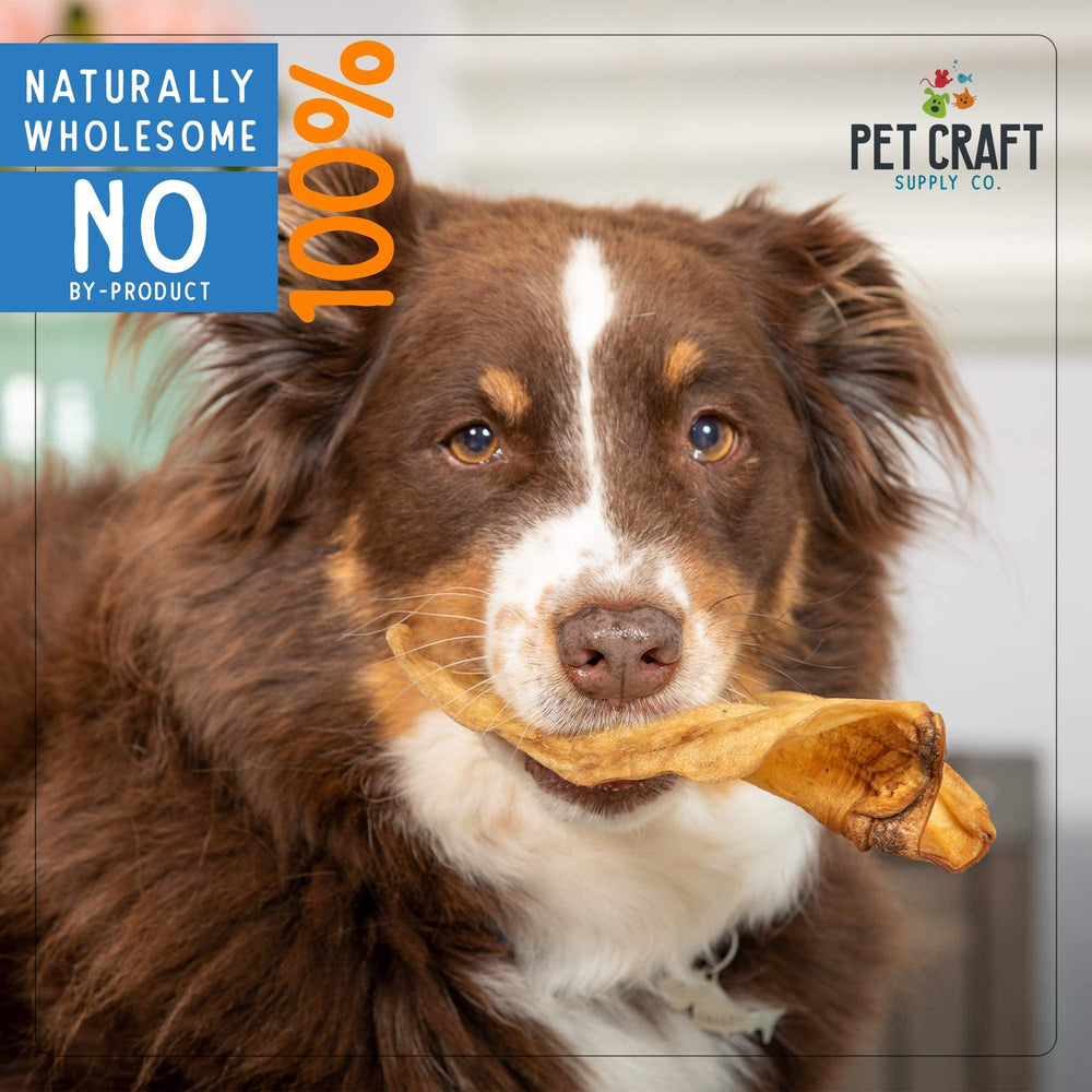 Pet Craft Supply Water Buffalo Ear suitable for small to large dogs during chew time.