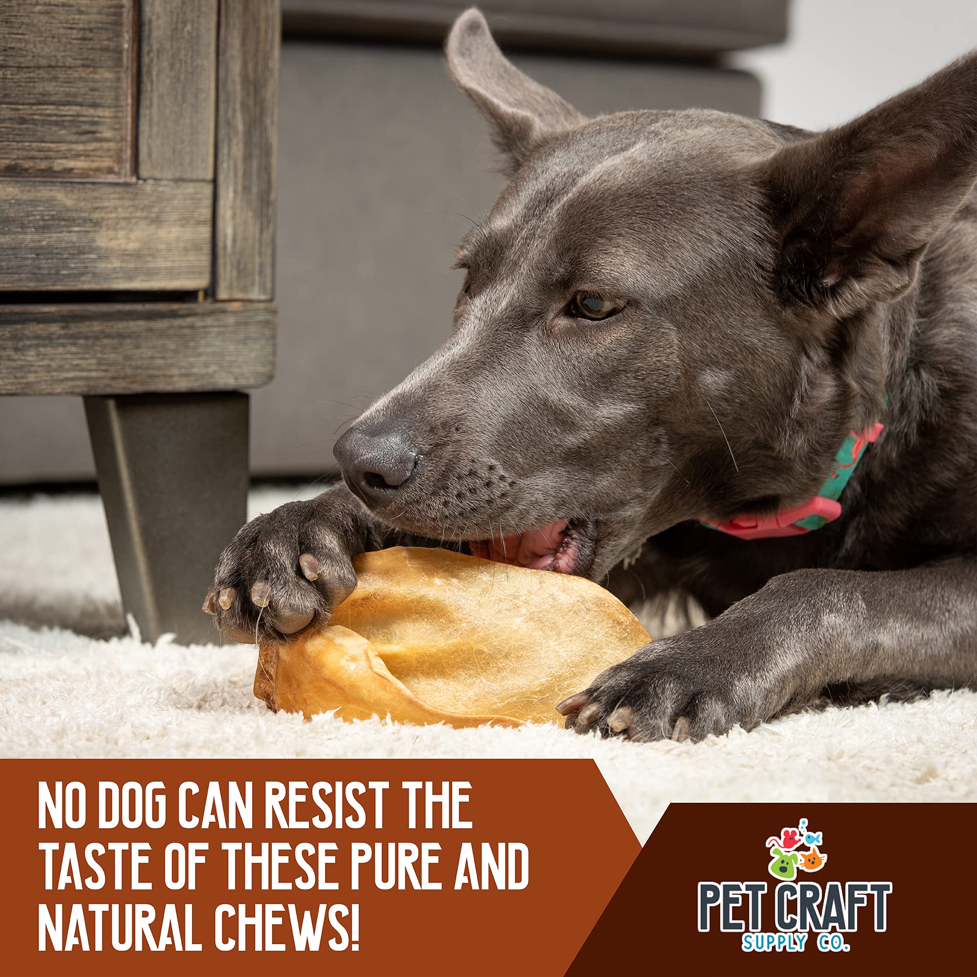 Pet Craft Supply water buffalo femur bone chew, long-lasting bite for strong chewers