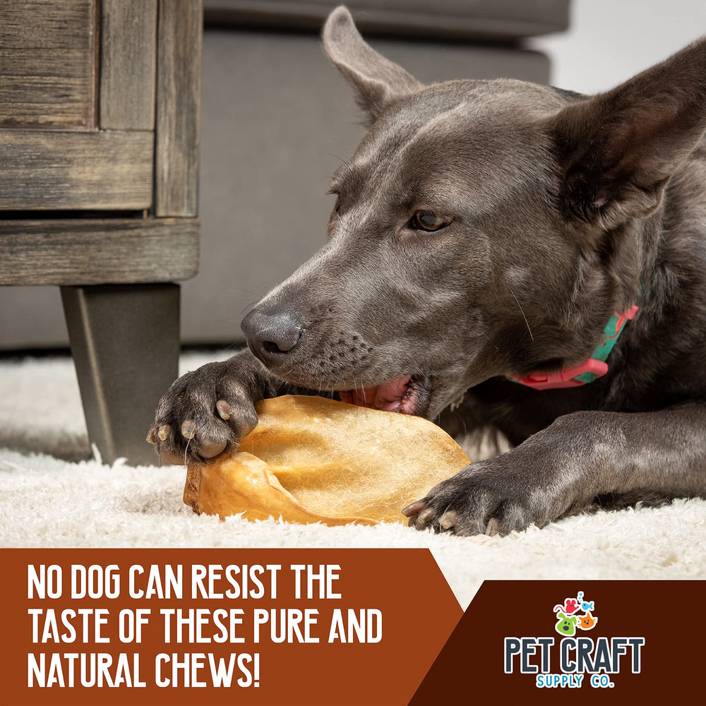 Pet Craft Supply water buffalo femur bone chew, long-lasting bite for strong chewers