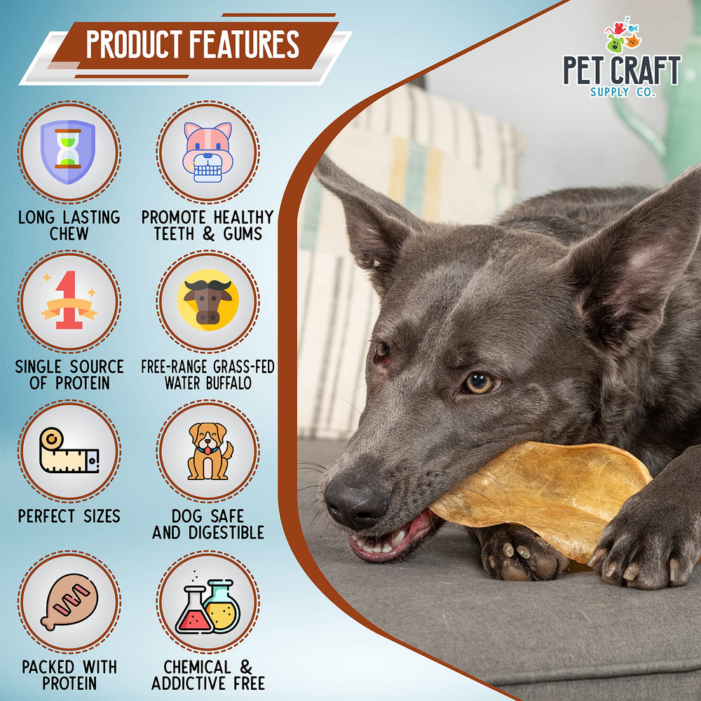 Pet Craft Supply water buffalo horn chew, a durable outlet for focused chewing