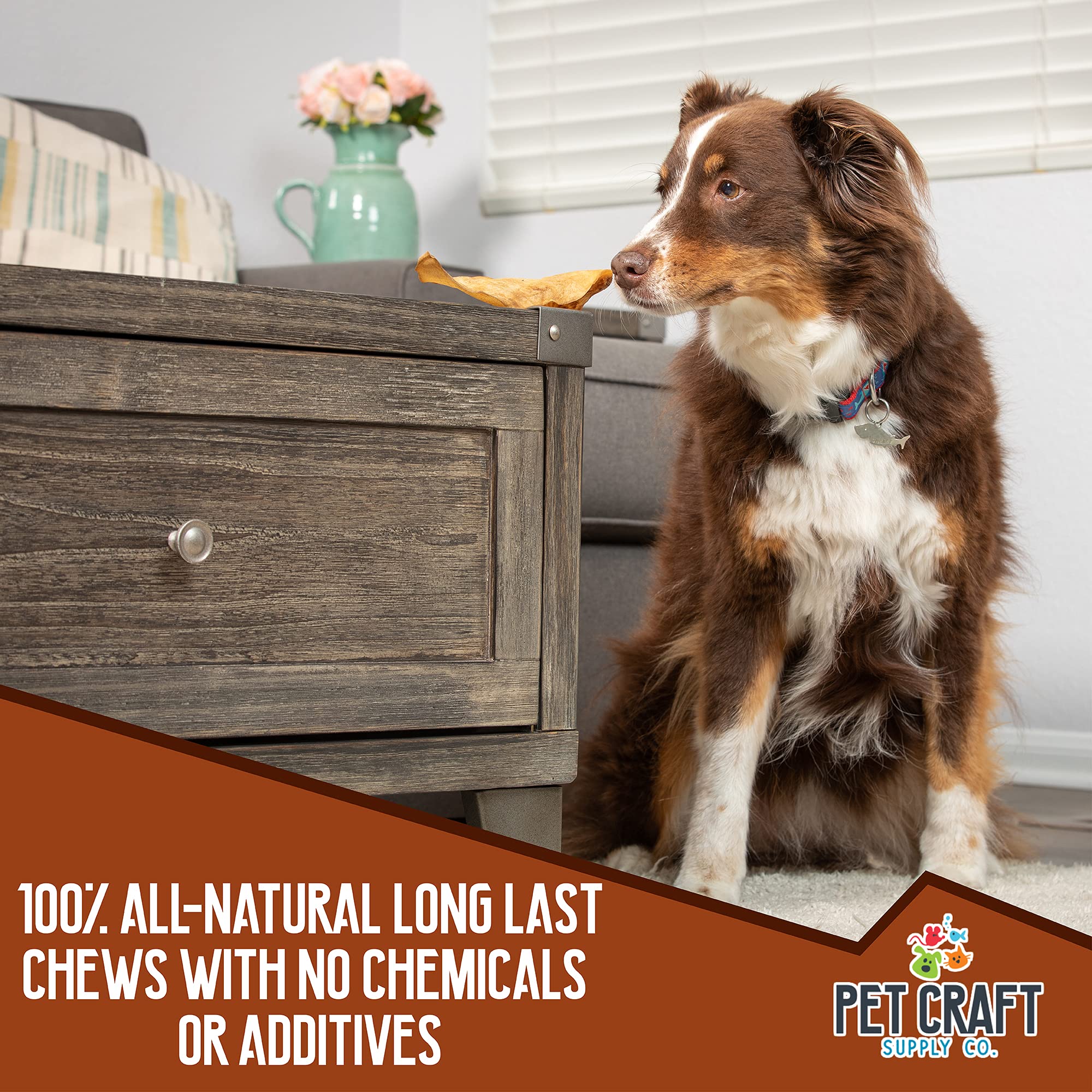 Pet Craft Supply water buffalo tails chew with natural texture satisfying instinctual chewing