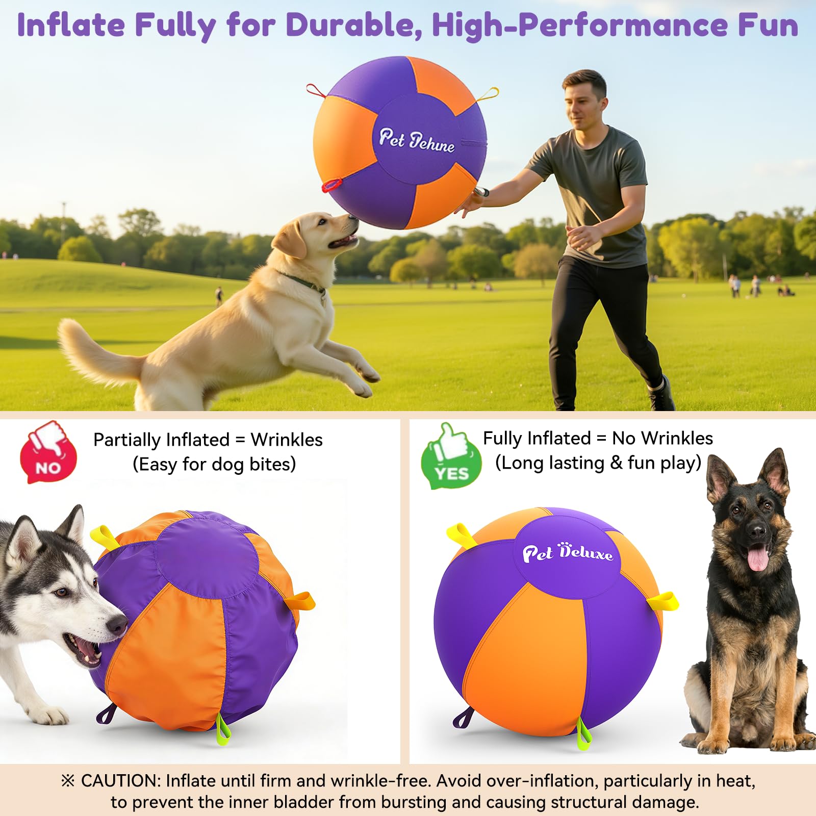 Double-stitched seams boost durability during intense fetch