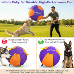 Double-stitched seams boost durability during intense fetch