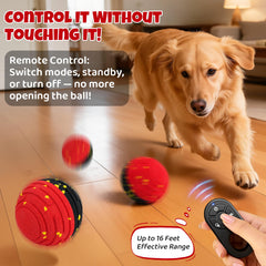 Pet Deluxe E-TPU bite resistant ball protects teeth during energetic play