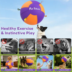 Pet Deluxe herding ball chased by a Border Collie for mental and physical engagement