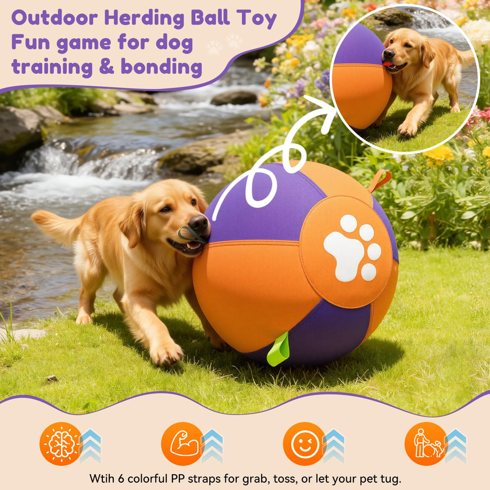 Pet Deluxe high-contrast colors help dogs track and chase longer