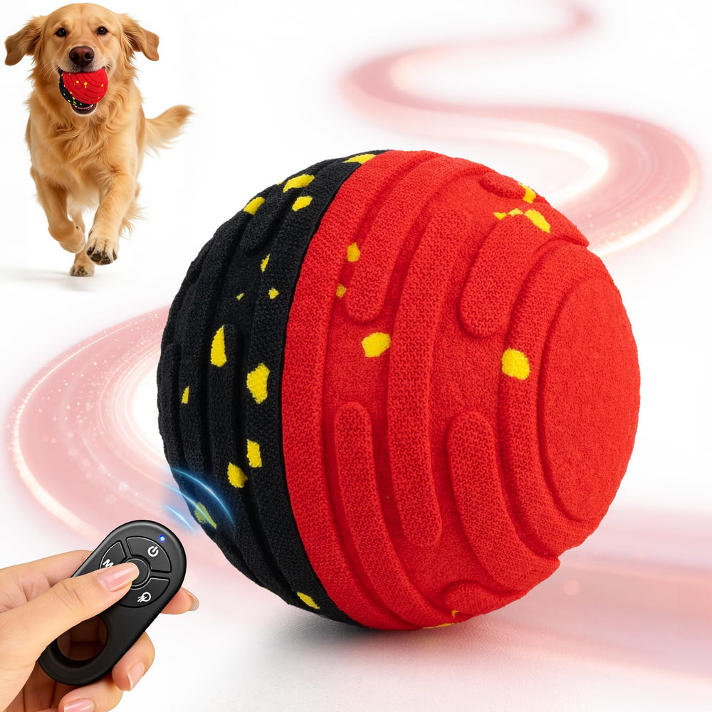 Pet Deluxe interactive dog toy ball with remote control for engaging indoor play