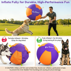 Pet Deluxe heavy-duty oxford-cover ball withstands tough yard play