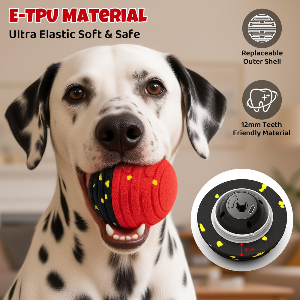 Pet Deluxe waterproof safety design protects dog and motor during outdoor play