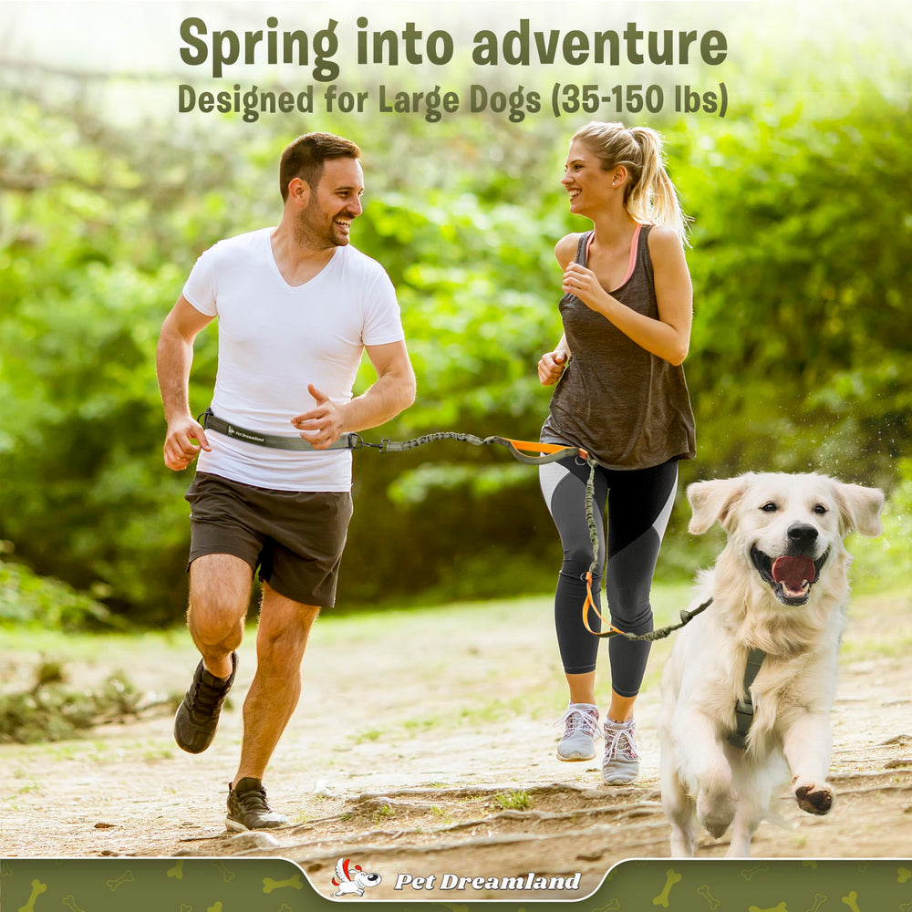 Pet Dreamland hands-free leash adjustable waist belt for many sizes