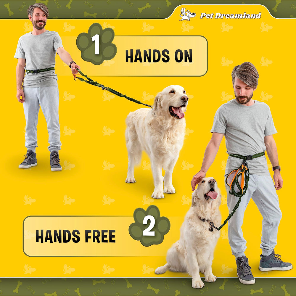 Pet Dreamland hands-free leash all-weather durable design for year-round use