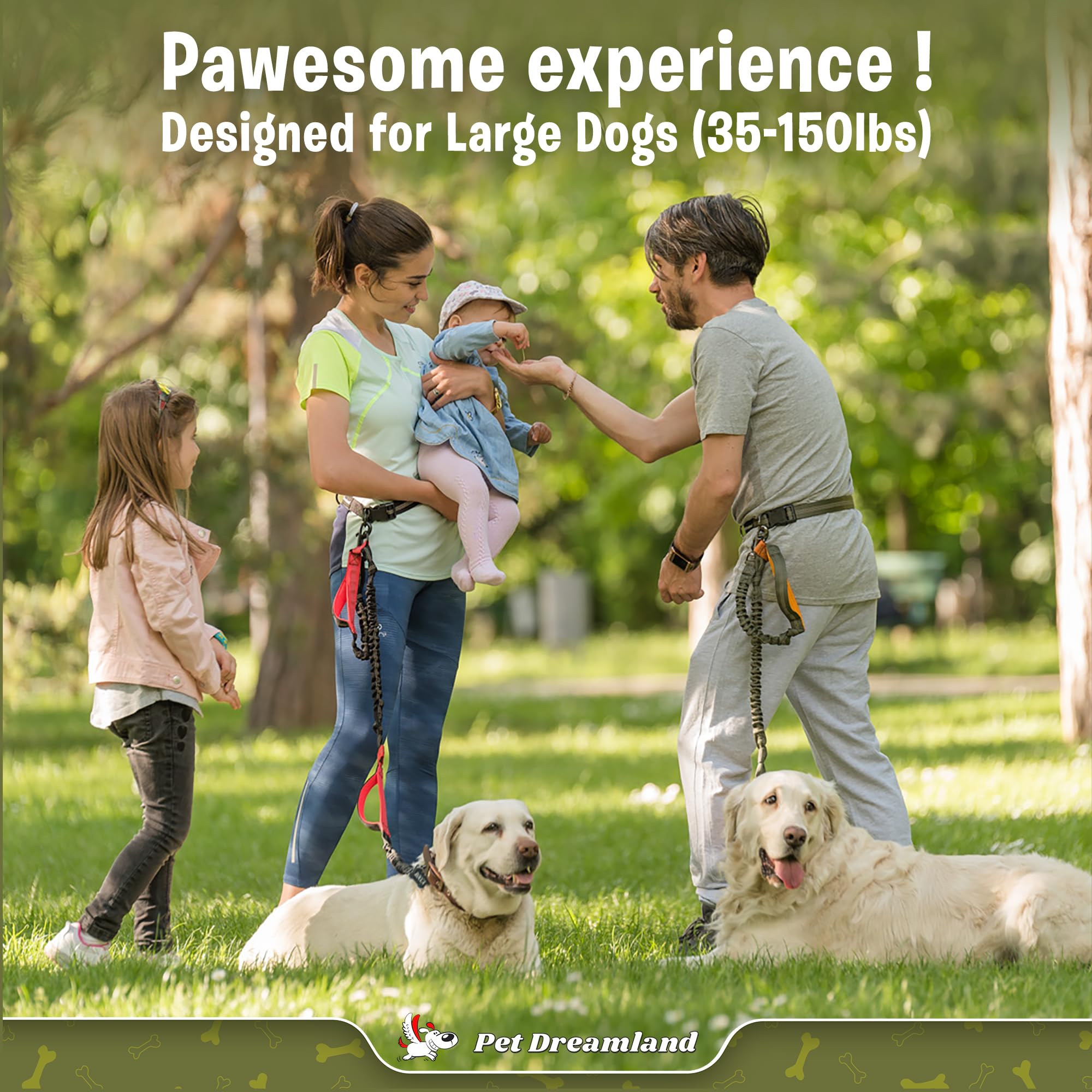 Pet Dreamland hands-free leash with dual soft handles for comfort