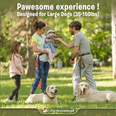 Pet Dreamland hands-free leash with dual soft handles for comfort